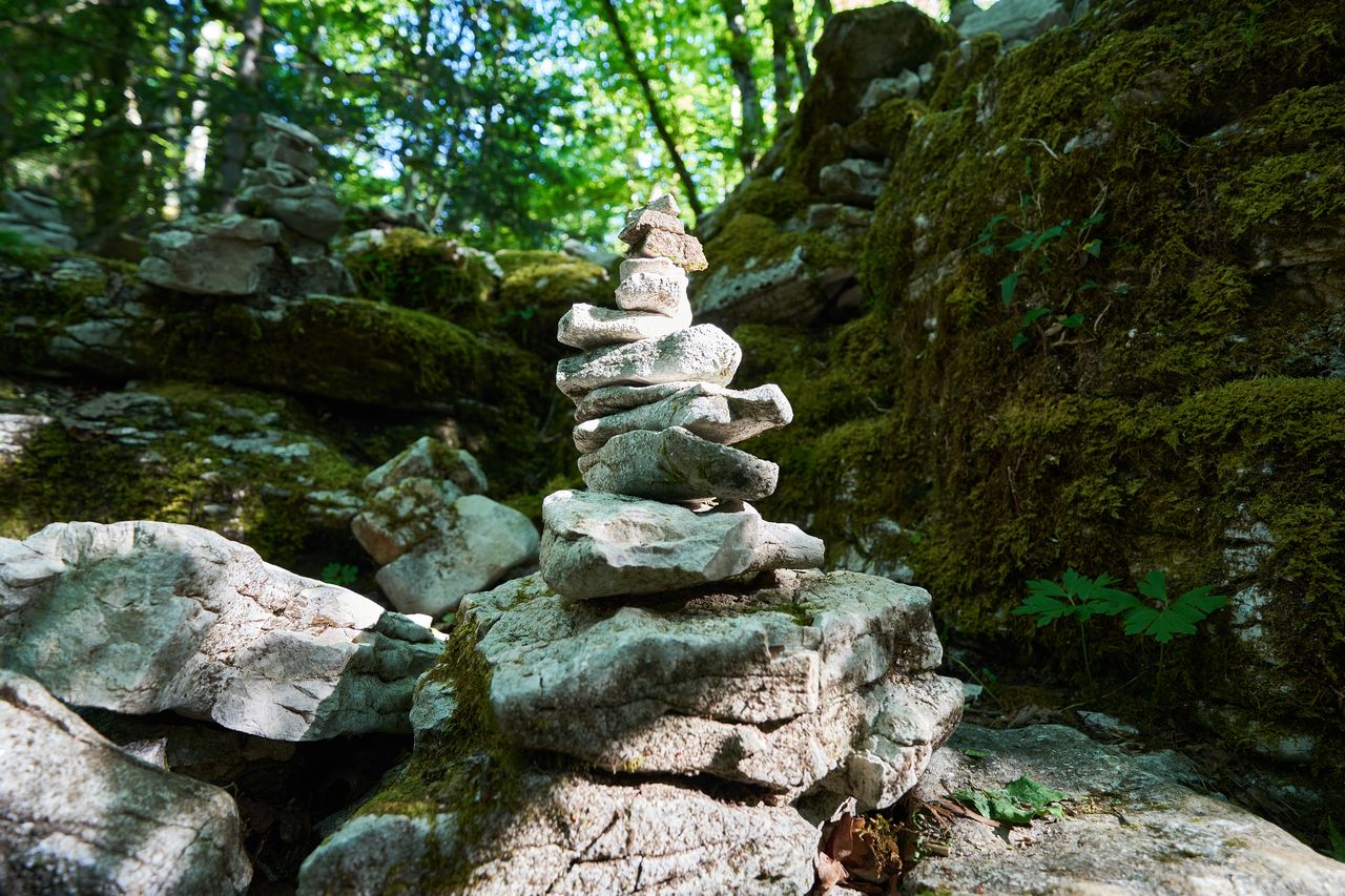 Sentier karstique des Malrochers à Besain, près de Poligny 06